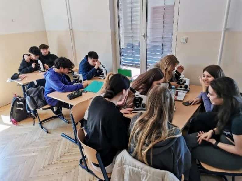 Schüler:innen beim Mikroskopieren im Innovators @ School Projekt 2023